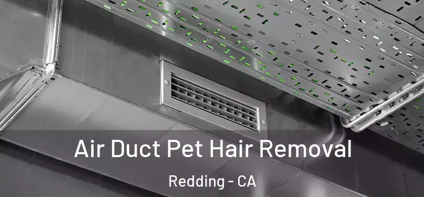 Air Duct Pet Hair Removal Redding - CA