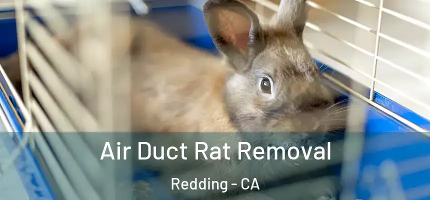 Air Duct Rat Removal Redding - CA