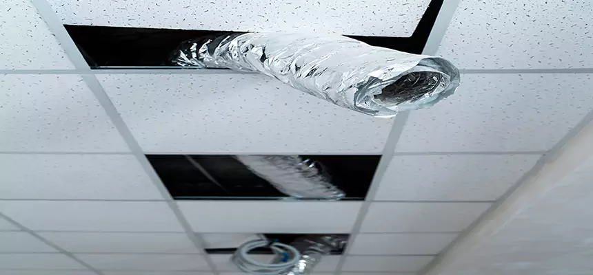 Our Air Duct Pet Hair Removal Services in Redding, CA