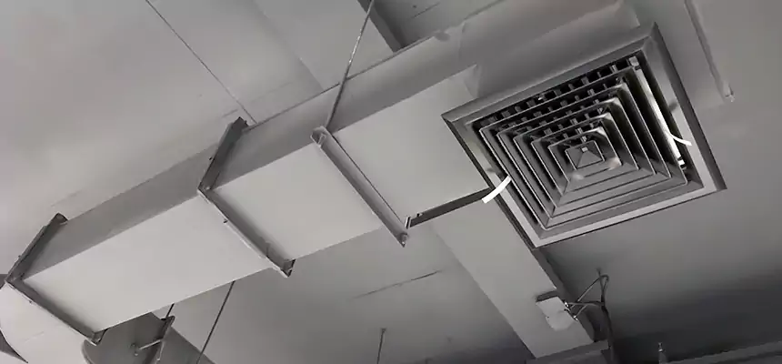 Restorative Allergy Relief Vent Cleaning – Coil, Blower & Housing Detail in Redding