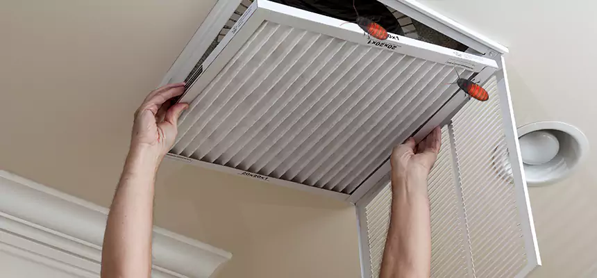 Our Insect Removal from Air Ducts Services in Redding, CA