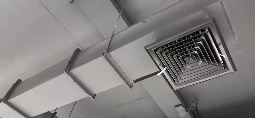 Our Rodent Droppings In Vents Services in Redding, CA