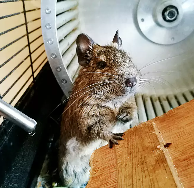 Why Homeowners & Businesses Trust Us Redding, CA